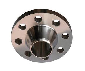 Weld-Neck Flanges